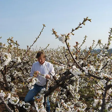Gospodarstwo agroturystyczne Tenuta Fortelongo *