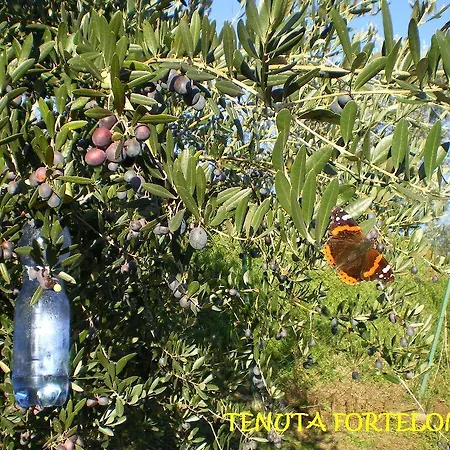 Gospodarstwo agroturystyczne Tenuta Fortelongo Fara Vicentino