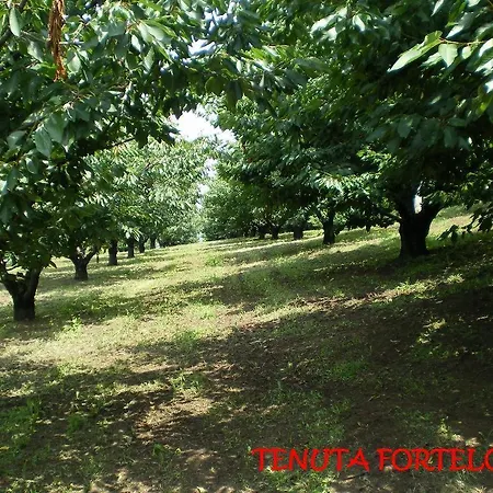 Gospodarstwo agroturystyczne Tenuta Fortelongo