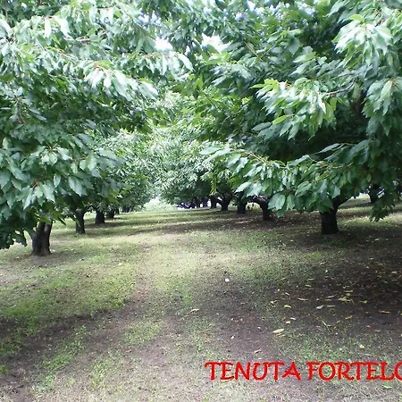 Gospodarstwo agroturystyczne Tenuta Fortelongo *