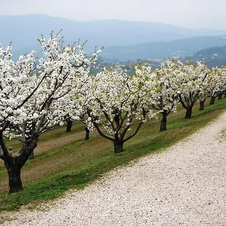 Alloggio per agriturismo Tenuta Fortelongo *