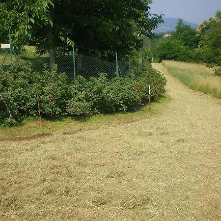Alloggio per agriturismo Tenuta Fortelongo