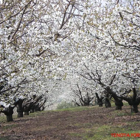 Alloggio per agriturismo Tenuta Fortelongo