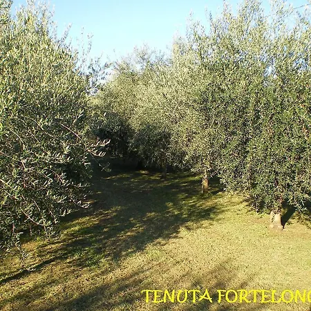Tenuta Fortelongo