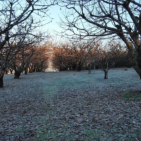 Tenuta Fortelongo