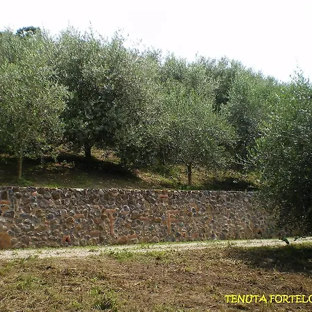 Tenuta Fortelongo Fara Vicentino