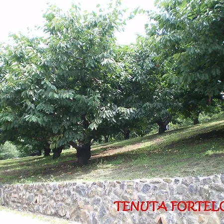 Alloggio per agriturismo Tenuta Fortelongo