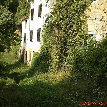 Tenuta Fortelongo