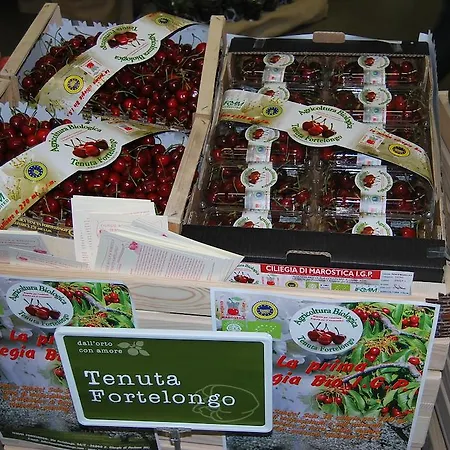 Tenuta Fortelongo Fara Vicentino