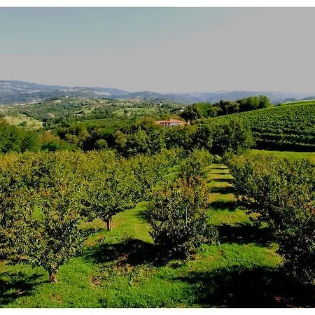 Alloggio per agriturismo Tenuta Fortelongo Fara Vicentino