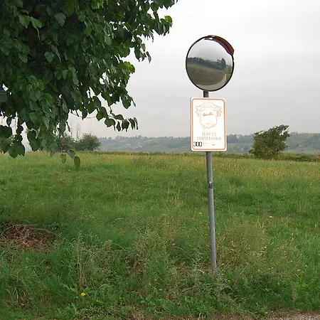 Tenuta Fortelongo